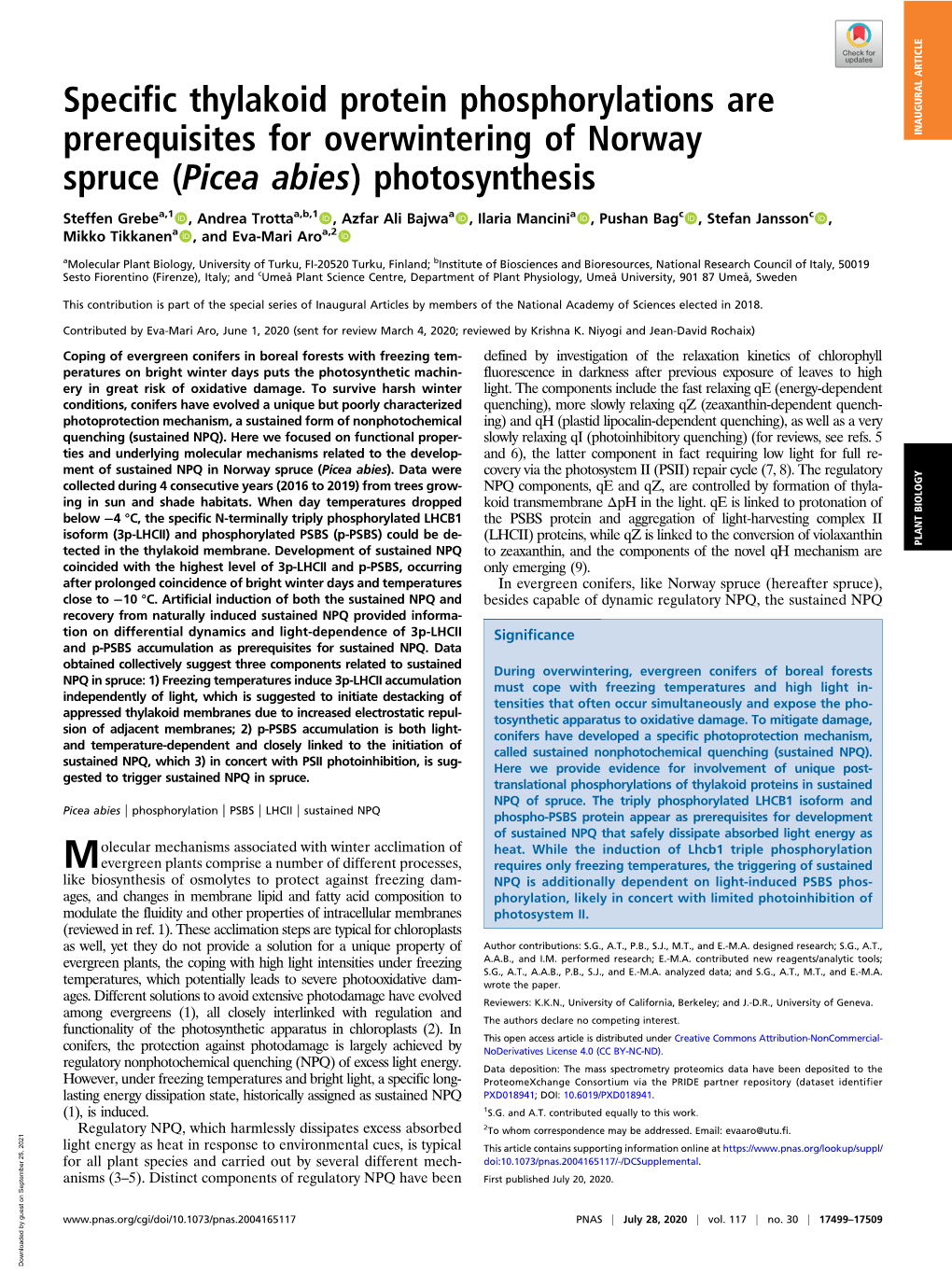 Photosynthesis