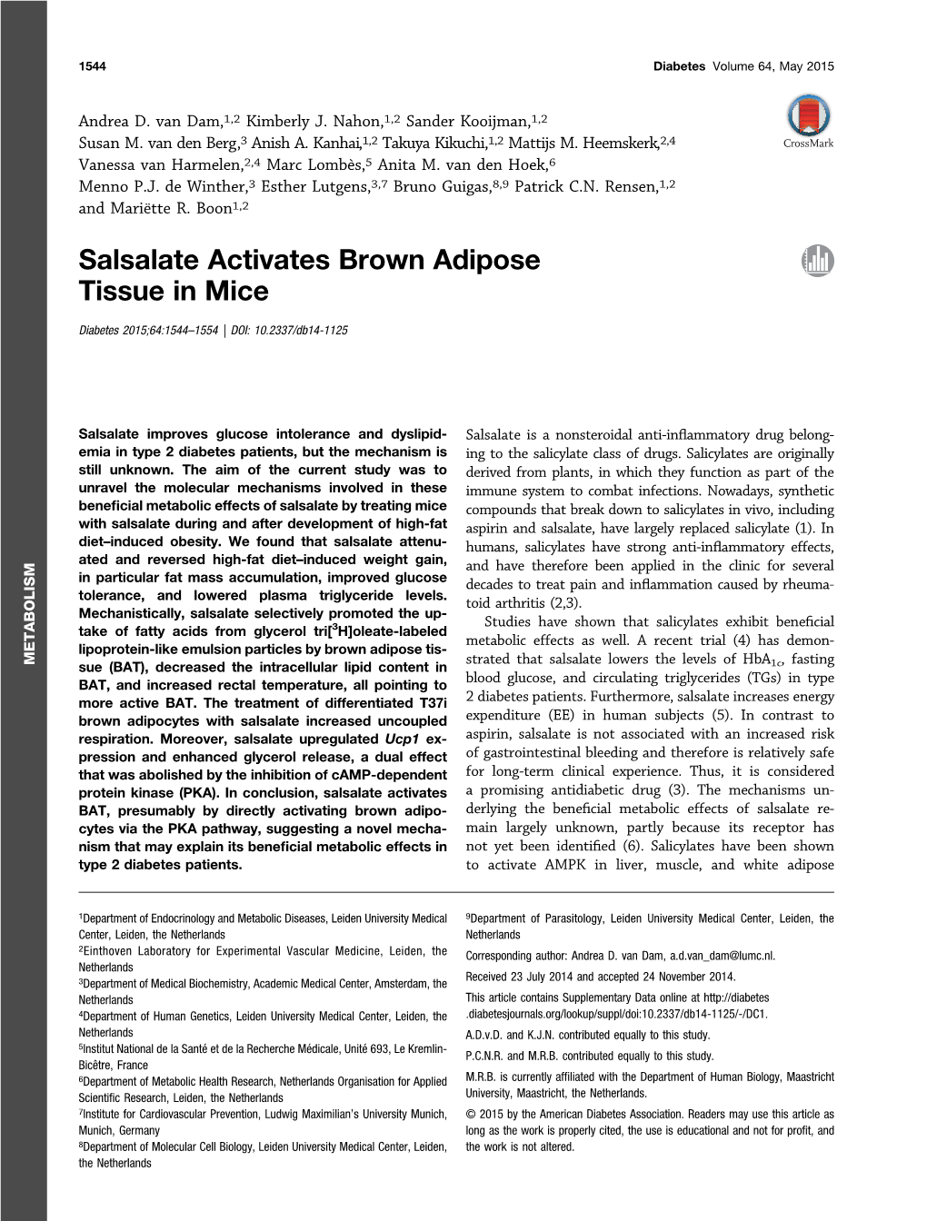 Salsalate Activates Brown Adipose Tissue in Mice