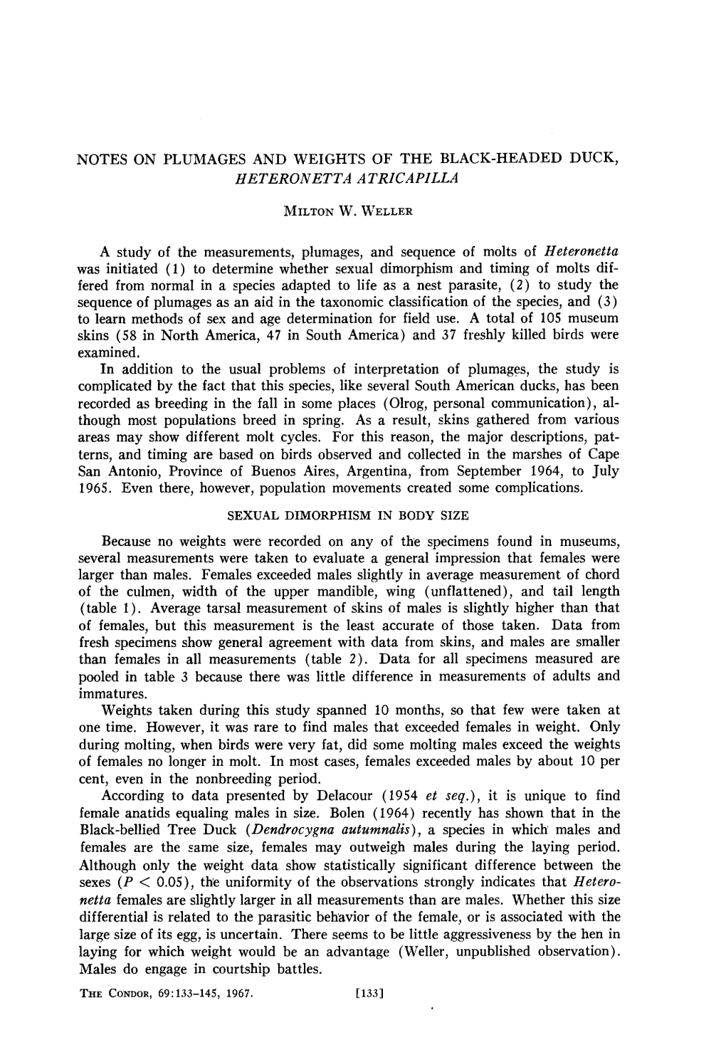 Notes on Plumages and Weights of the Black-Headed Duck, Heteronetta Atricapilla