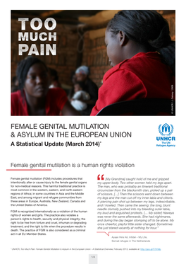 Female Genital Mutilation & Asylum in the European Union