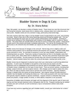 Bladder Stones in Dogs & Cats By: Dr