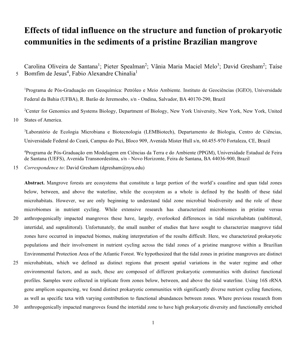 Effects of Tidal Influence on the Structure and Function of Prokaryotic Communities in the Sediments of a Pristine Brazilian Mangrove