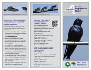 Purple Martin Project Our Vision