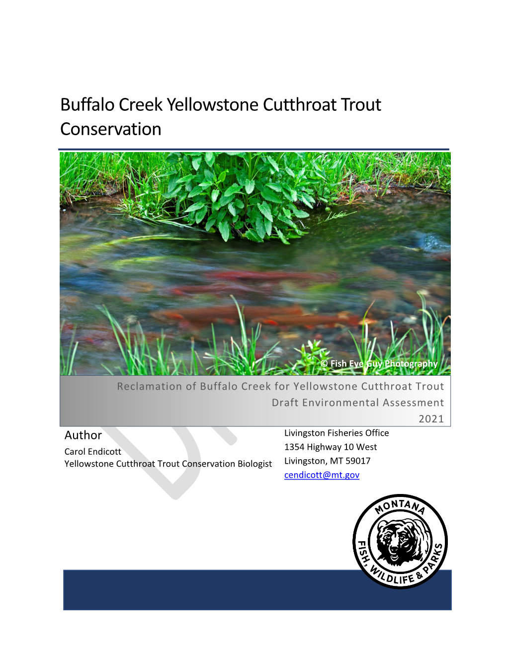 Buffalo Creek Yellowstone Cutthroat Trout Conservation