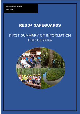 Redd+ Safeguards First Summary of Information For