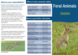Feral Animals: Rabbits