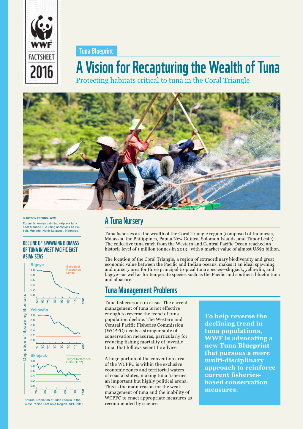 Tuna Blueprint a Vision for Recapturing the Wealth of Tuna Protecting Habitats Critical to Tuna in the Coral Triangle