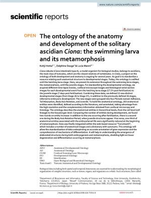 The Ontology of the Anatomy and Development of the Solitary Ascidian Ciona: the Swimming Larva and Its Metamorphosis Kohji Hotta1*, Delphine Dauga2 & Lucia Manni3*