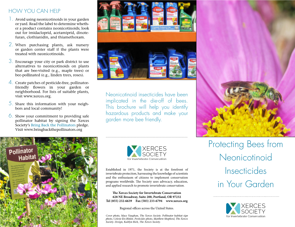 Protecting Bees from Neonicotinoid Insecticides in Your Garden