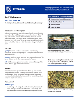 Sod Webworm Pest Fact Sheet 48 Dr