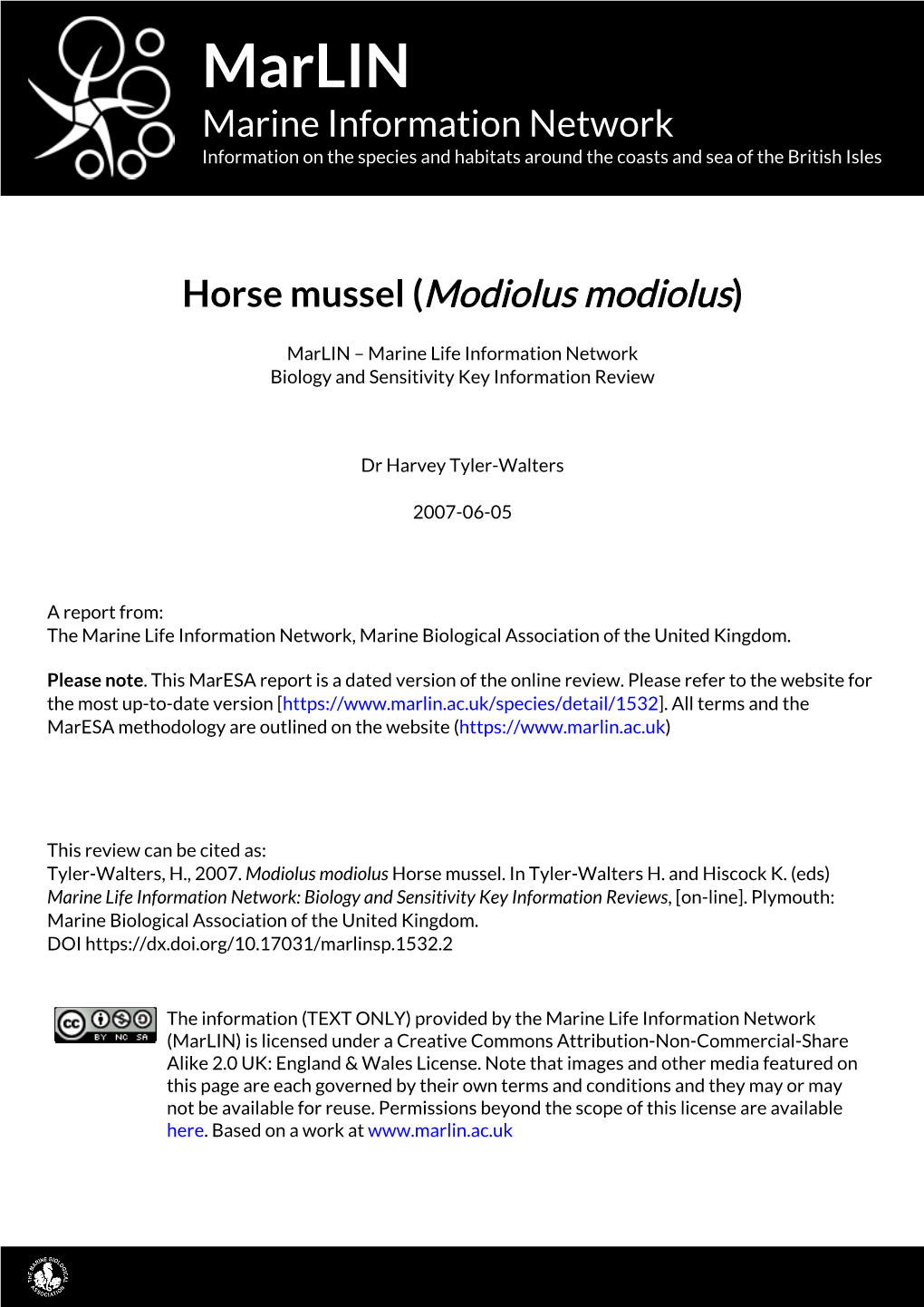 Horse Mussel (Modiolus Modiolus)