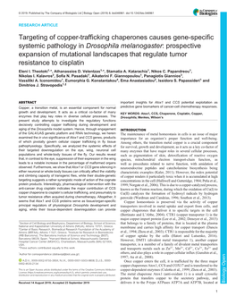 Targeting of Copper-Trafficking Chaperones Causes Gene-Specific