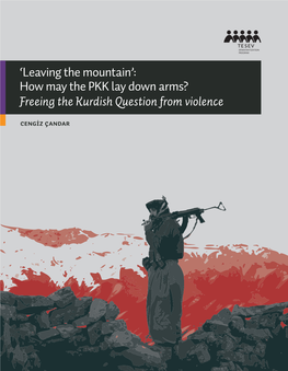 'Leaving the Mountain': How May the PKK Lay Down Arms?