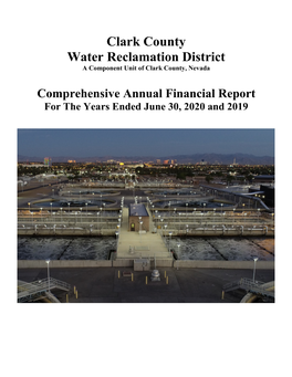 Comprehensive Annual Financial Report for the Years Ended June 30, 2020 and 2019