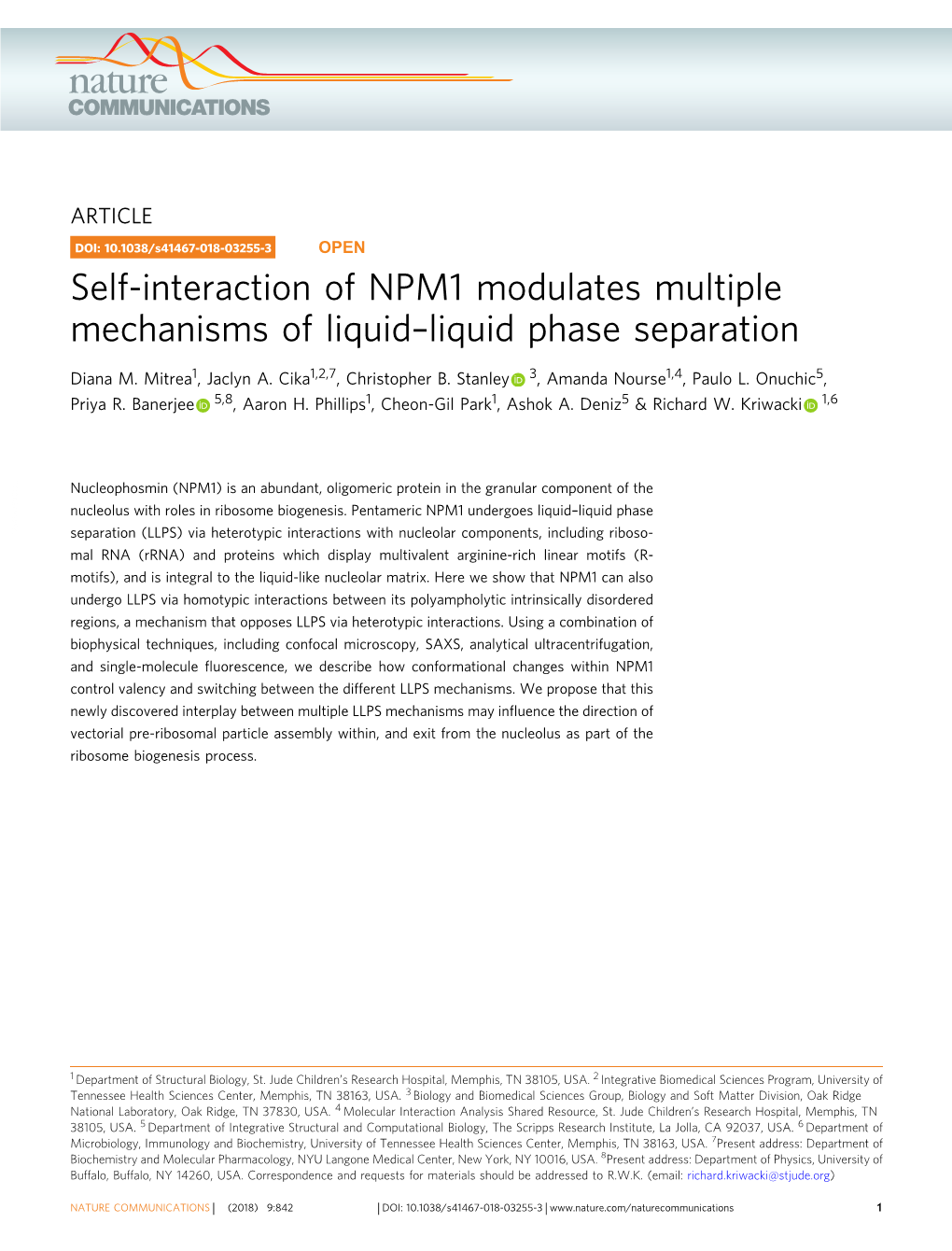 Self-Interaction of NPM1 Modulates Multiple Mechanisms of Liquidв