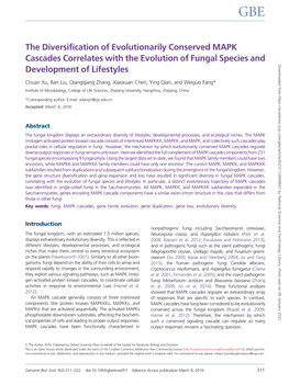 The Diversification of Evolutionarily Conserved MAPK Cascades