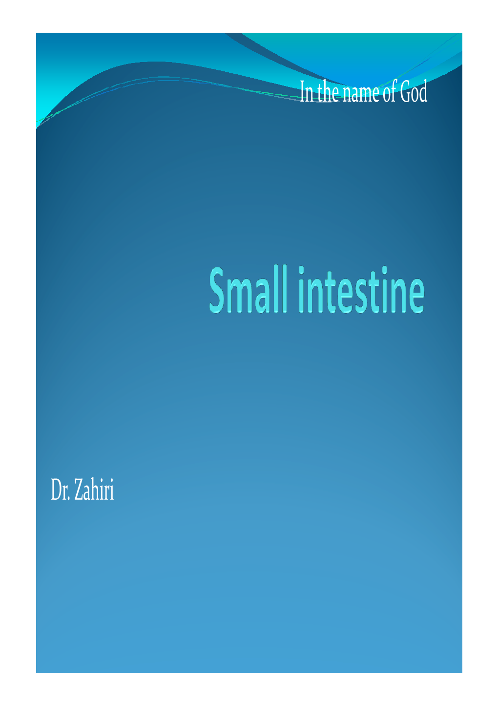 Small Intestine