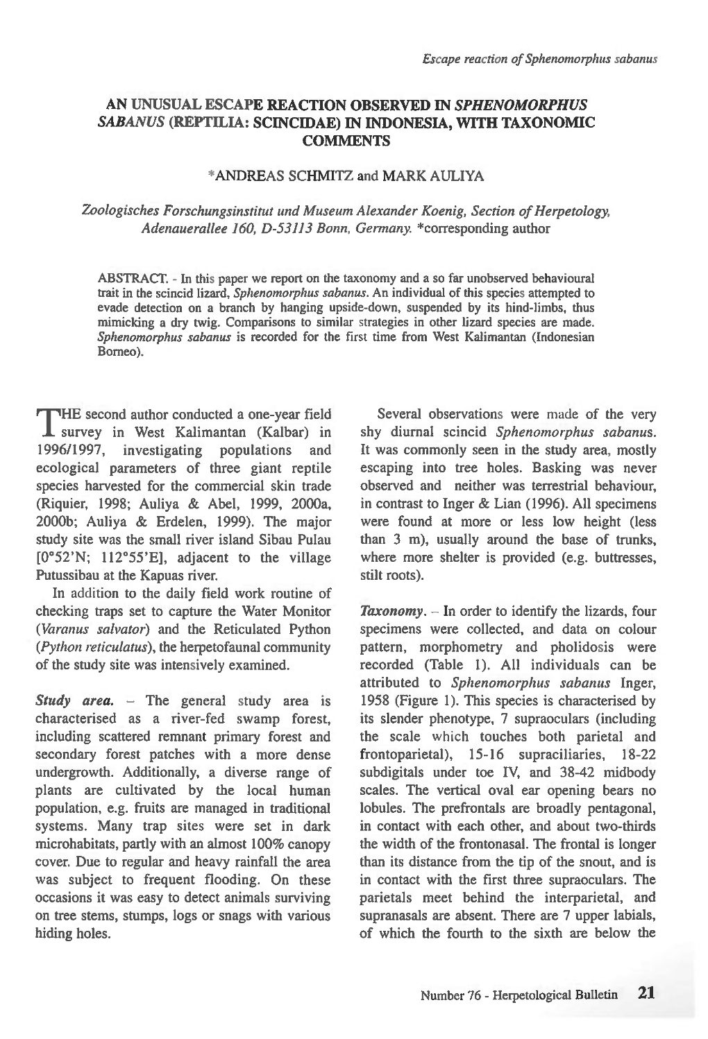 (Reptilia: Scincidae) in Indonesia, with Taxonomic Comments