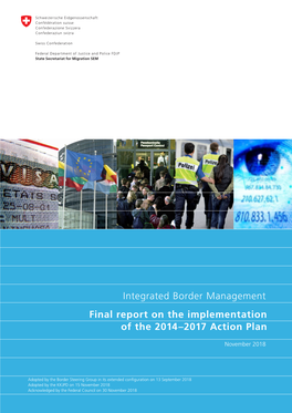 Final Report on the Implementation of the 2014–2017 Action Plan