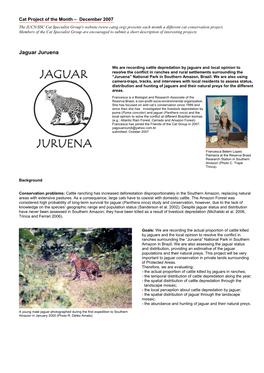 Jaguar Juruena