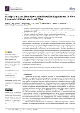 Matriptase-2 and Hemojuvelin in Hepcidin Regulation: in Vivo Immunoblot Studies in Mask Mice