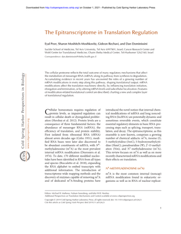 The Epitranscriptome in Translation Regulation