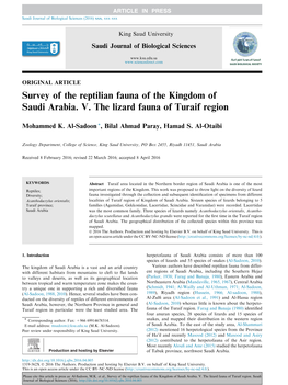 Survey of the Reptilian Fauna of the Kingdom of Saudi Arabia. V. the Lizard Fauna of Turaif Region