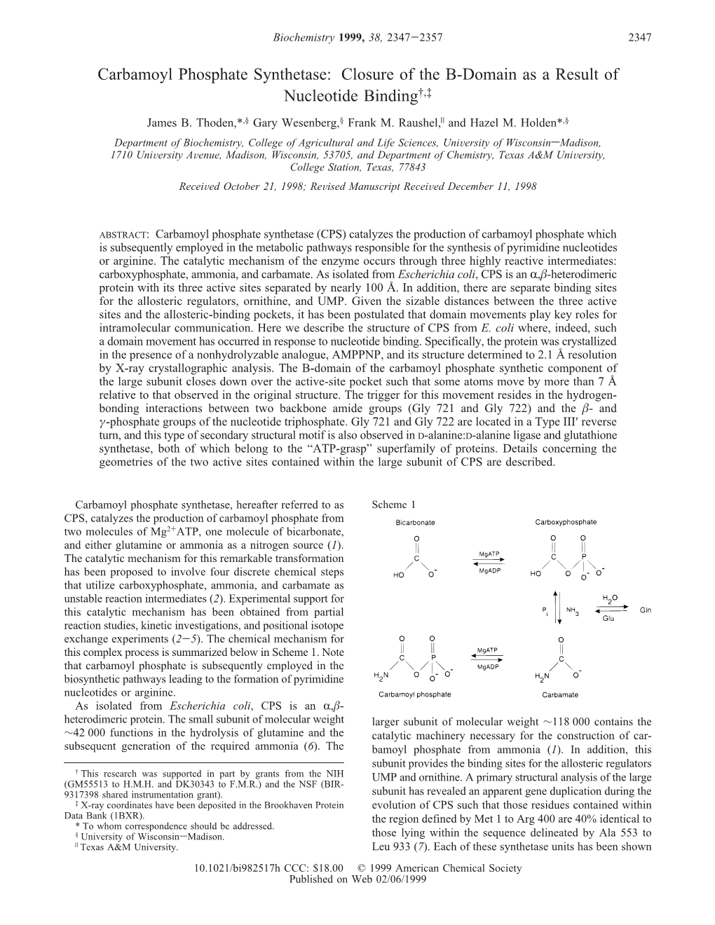 Carbamoyl Phosphate Synthetase: Closure of the B-Domain As a Result of Nucleotide Binding†,‡ James B