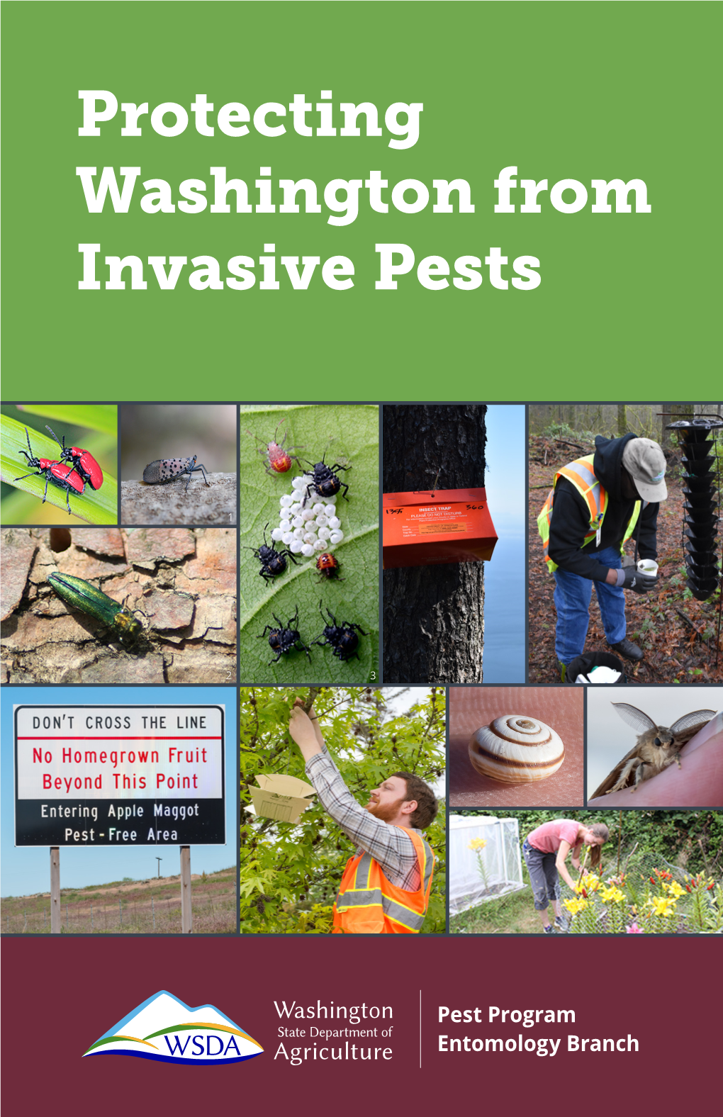 Protecting Washington from Invasive Pests