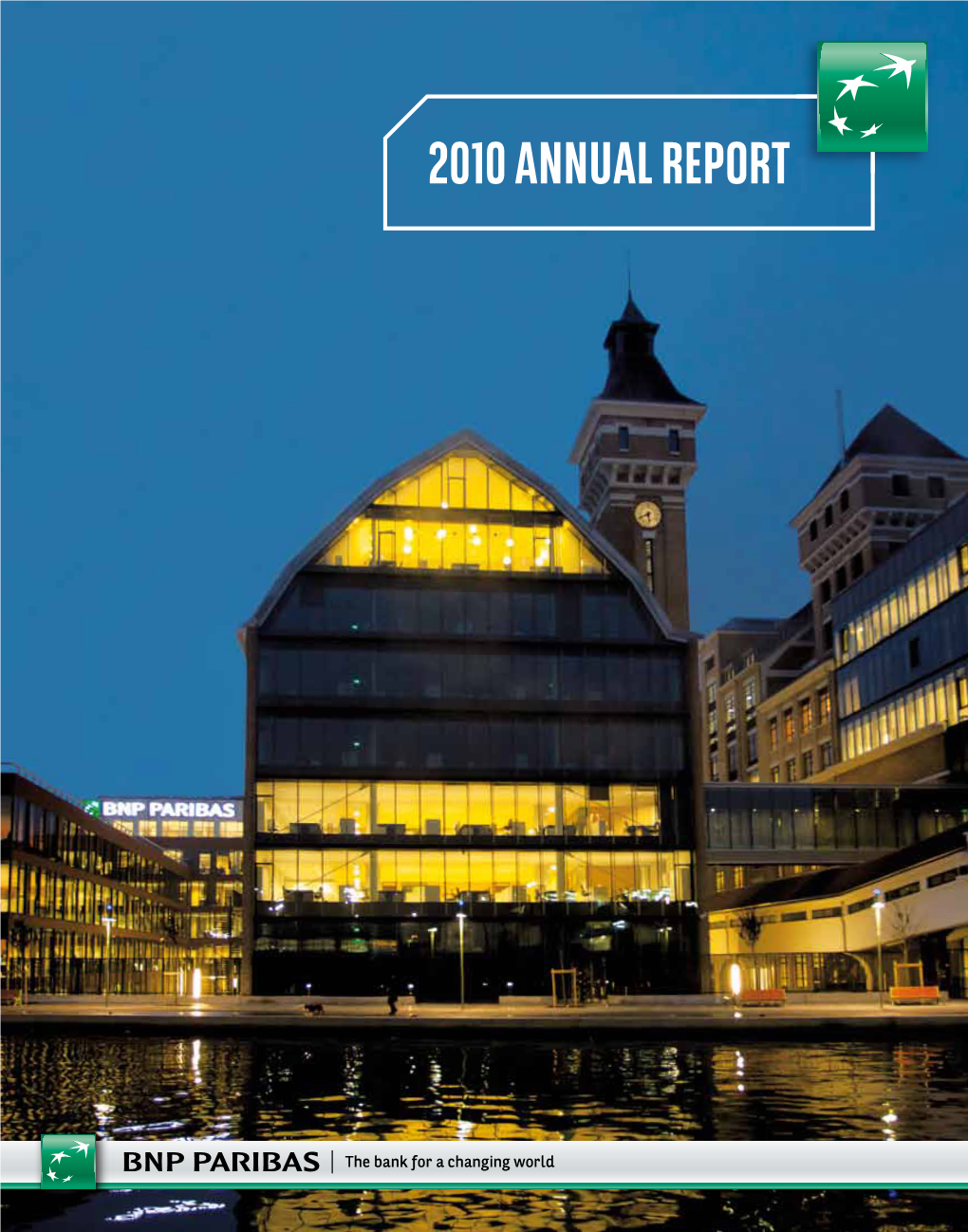 BNP 2010 Annual Report