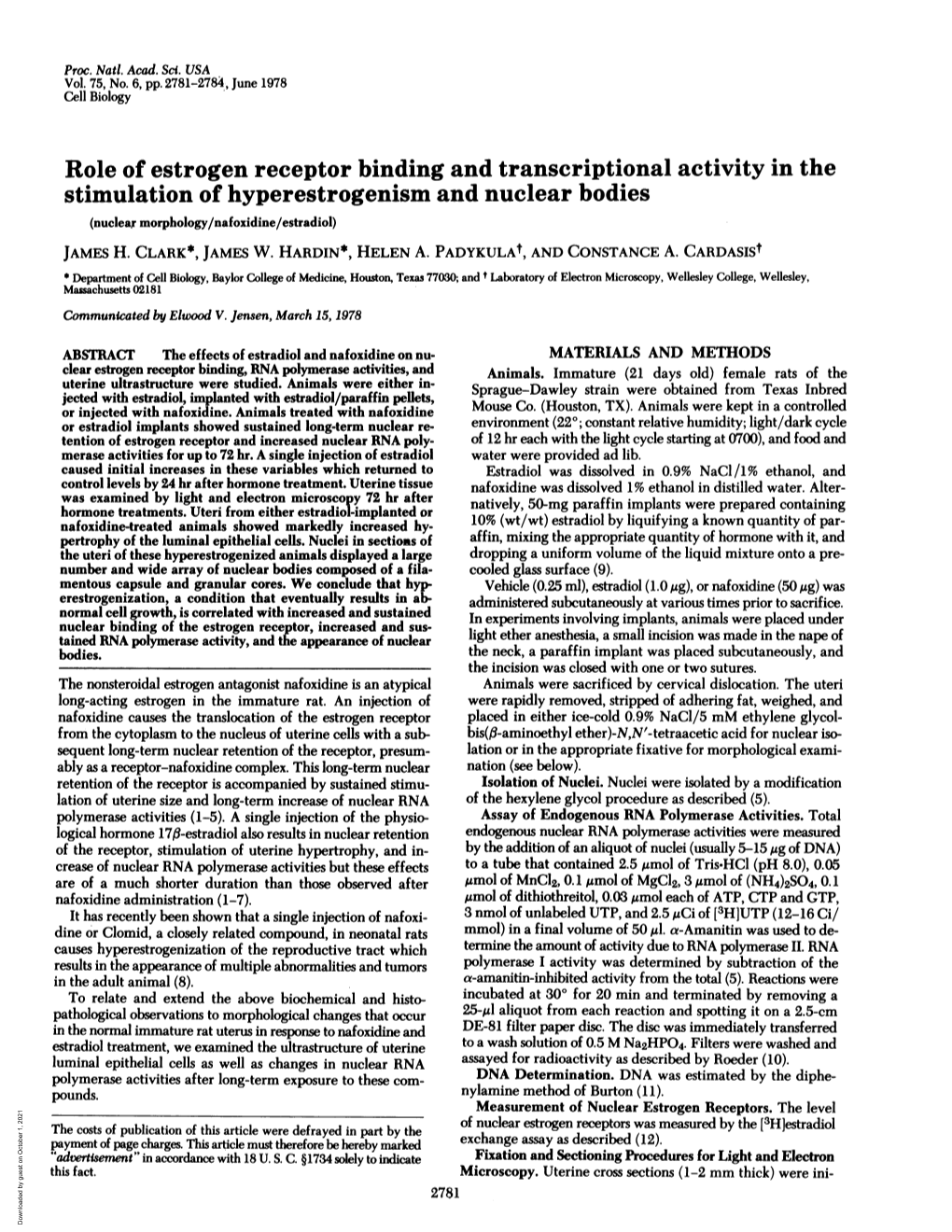 Role of Estrogen Receptor Binding and Transcriptional Activity in the Stimulation of Hyperestrogenism and Nuclear Bodies