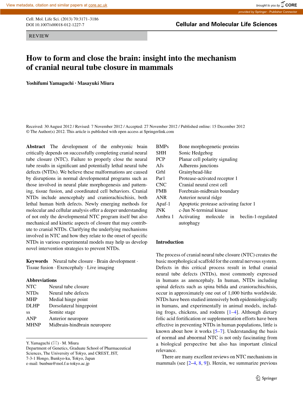 Insight Into the Mechanism of Cranial Neural Tube Closure in Mammals