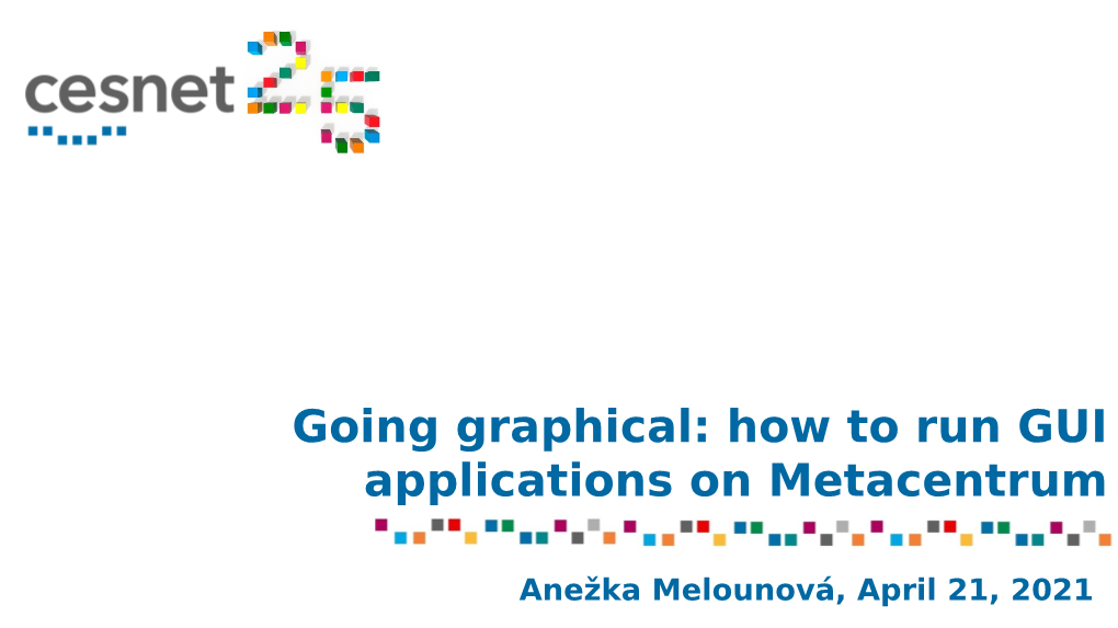 Going Graphical: How to Run GUI Applications on Metacentrum