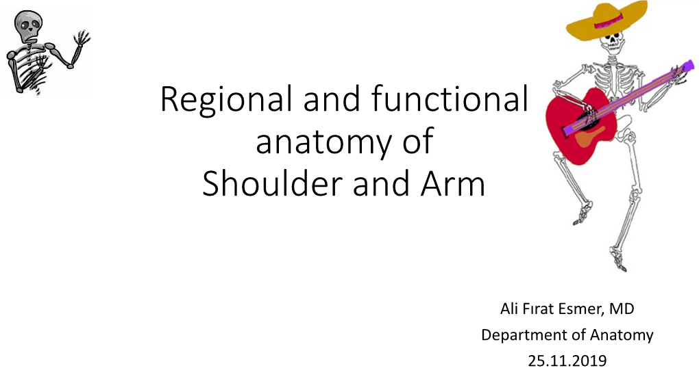 The Upper Limb Consists of Four Major Segments