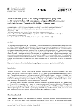 A New Interstitial Species of the Hydroporus Ferrugineus Group from North-Western Turkey, with a Molecular Phylogeny of the H