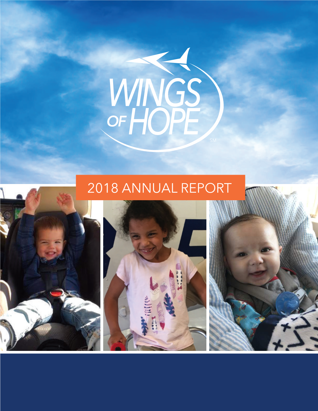 2018 Annual Report Power of Partnership