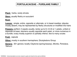 Portulacaceae – Purslane Family