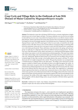 Crop Cycle and Tillage Role in the Outbreak of Late Wilt Disease of Maize Caused by Magnaporthiopsis Maydis