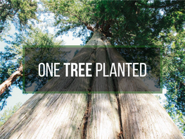 One Tree Planted Media
