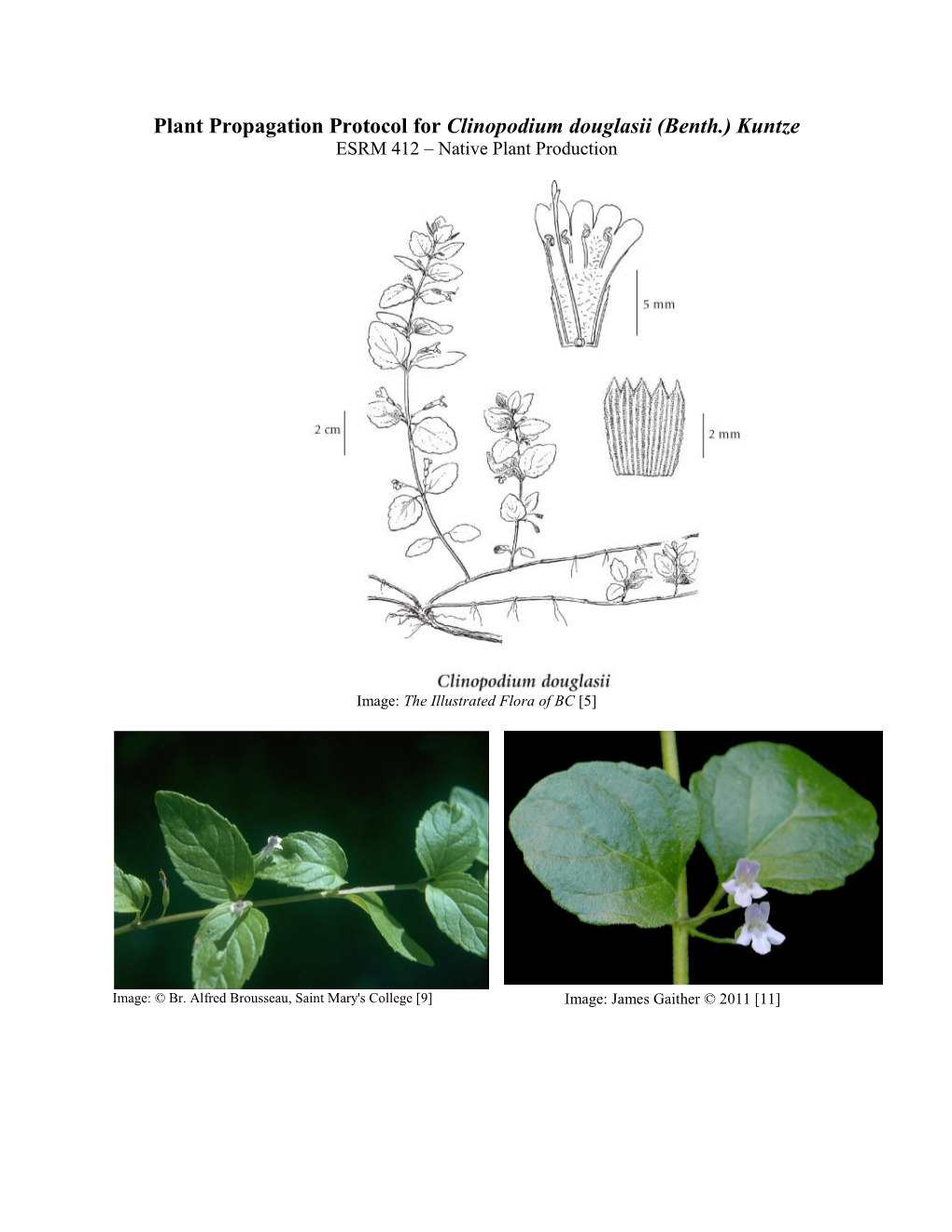 Draft Plant Propagation Protocol