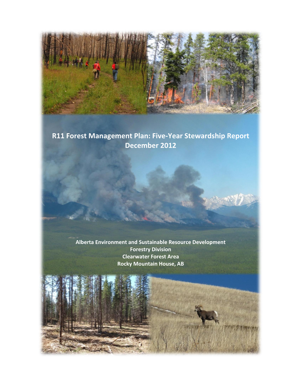 R11 Forest Management Plan: Five-Year Stewardship Report December 2012