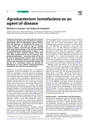 Agrobacterium Tumefaciens As an Agent of Disease