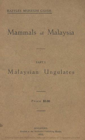 Malaysian Ungulates