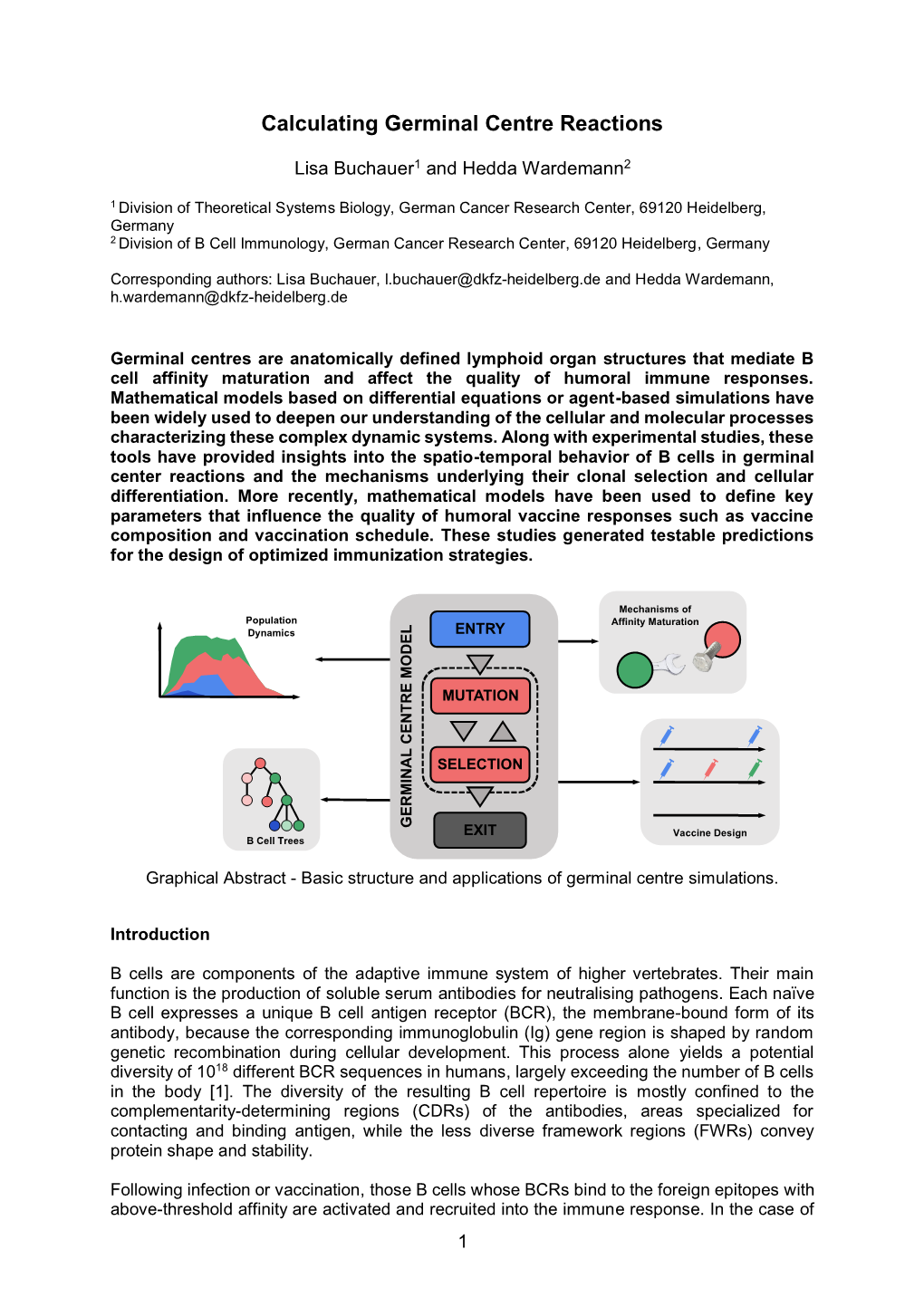 Calculating Germinal Centre Reactions