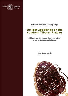 Juniper Woodlands on the Southern Tibetan Plateau
