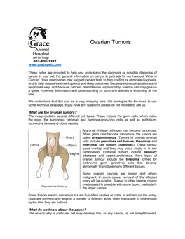 Ovarian Tumors