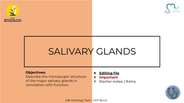 Salivary Glands