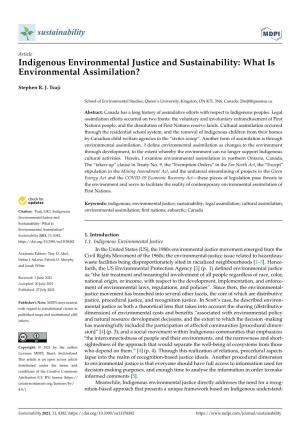 Indigenous Environmental Justice and Sustainability: What Is Environmental Assimilation?
