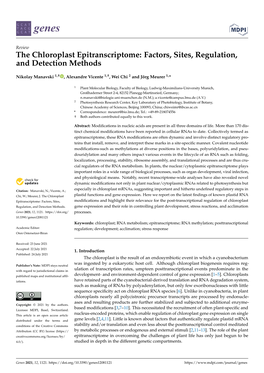 The Chloroplast Epitranscriptome: Factors, Sites, Regulation, and Detection Methods