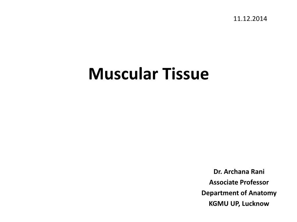 Muscle Tissue?